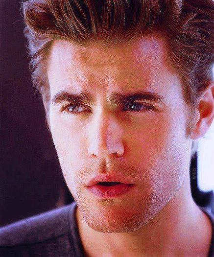 1468750_674380989273072_950027981_n - stefan salvatore