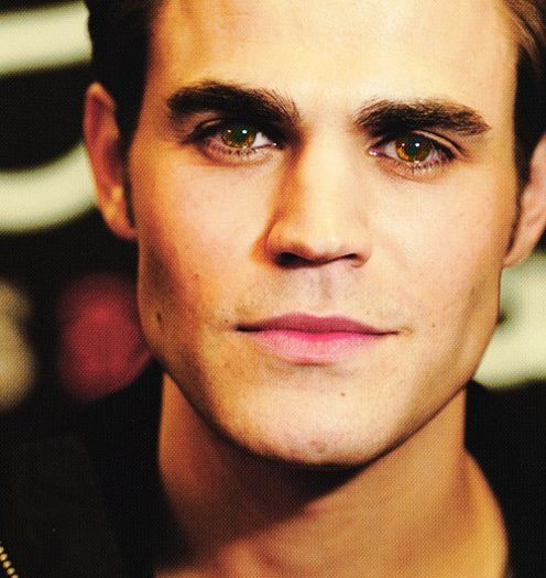 1471979_675156805862157_1158006371_n - stefan salvatore