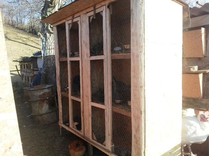 Cusca noua 10Dec2013