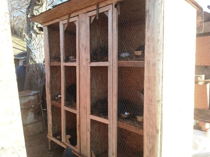 Cusca noua 10Dec2013