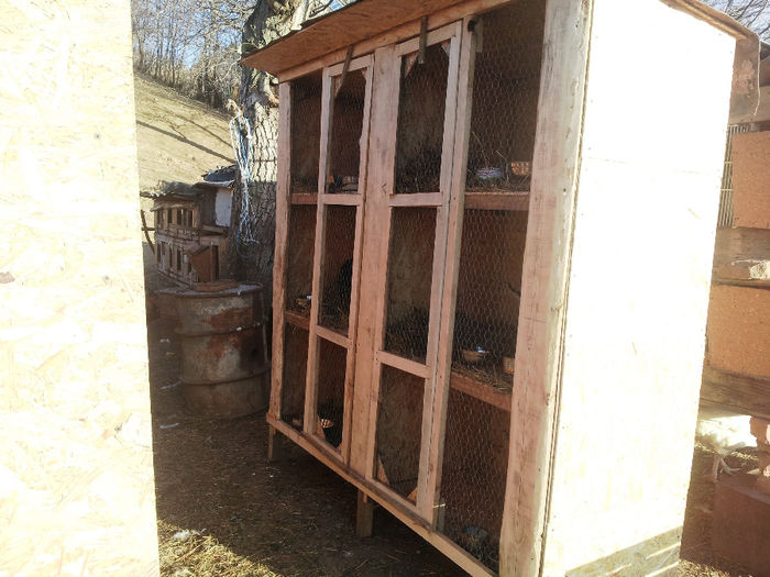 Cusca noua 10Dec2013