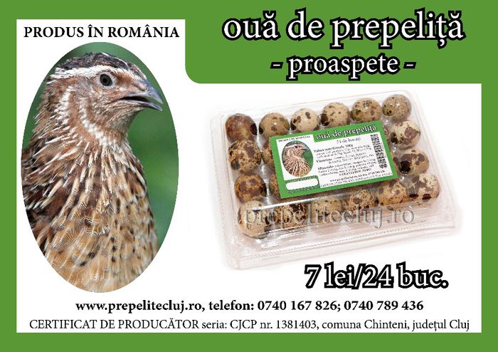 Oua de prepelita promotie prepelite cluj 1; microferma prepelite cluj prepelite cluj prepelite oua prepelita oua prepelita cluj oua prepelita consum oua prepelita incubare pui prepelita pui prepelita cluj pui prepelite prepelite ouatoare prepel
