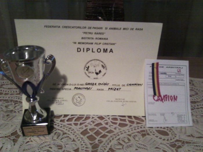 Fotografie-0076 - diplome si premii