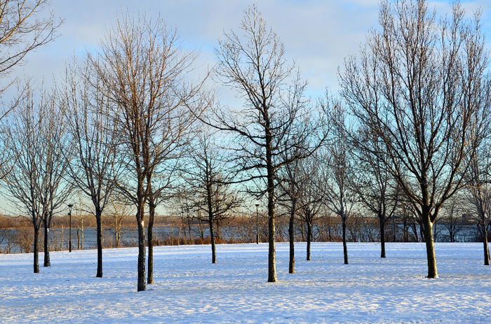 O zi de iarna; Parcul "Bellerive" di Montreal,2013
