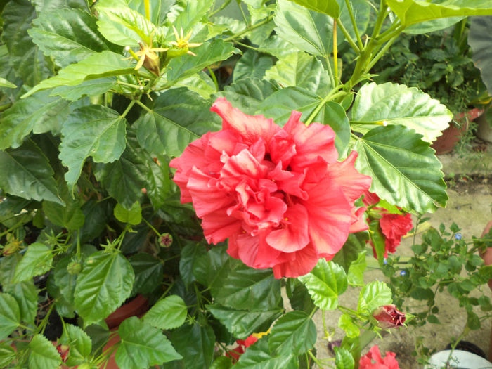 DSC02116