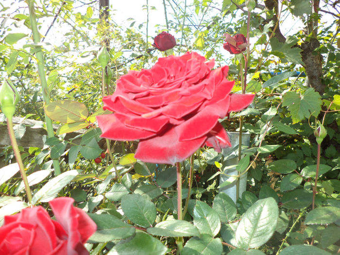 DSC02256