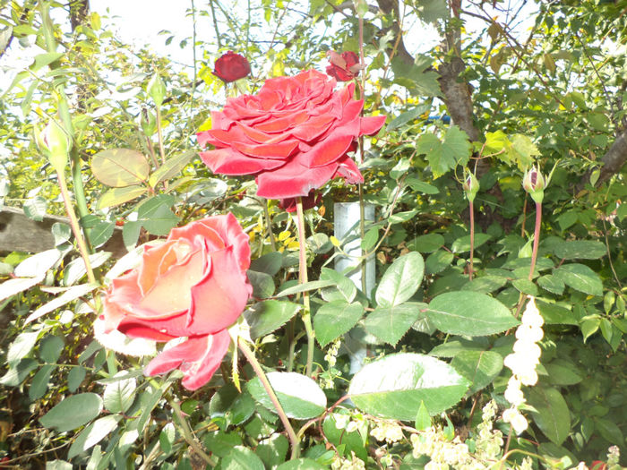 DSC02257