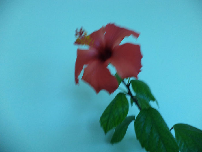 DSC02340