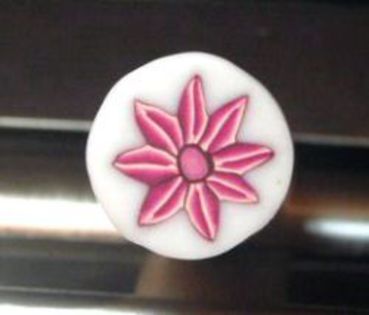 Pink_Flower_Cane12