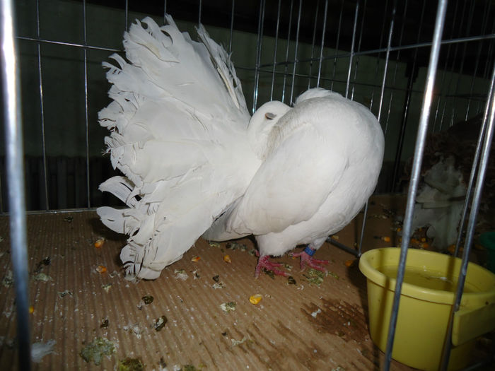DSC06022