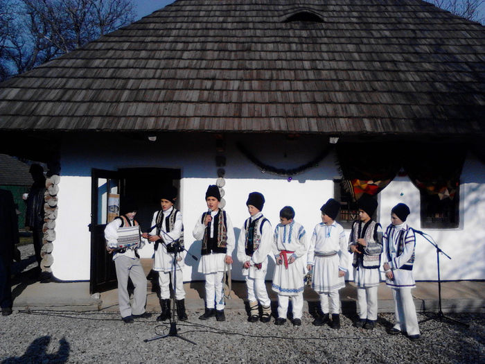 IMG_20131213_114554 - zileleCreanga