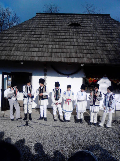 IMG_20131213_114816 - zileleCreanga