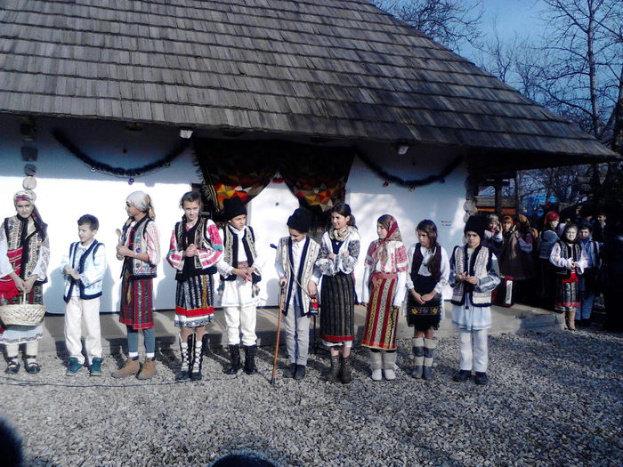 IMG_20131213_114907 - zileleCreanga