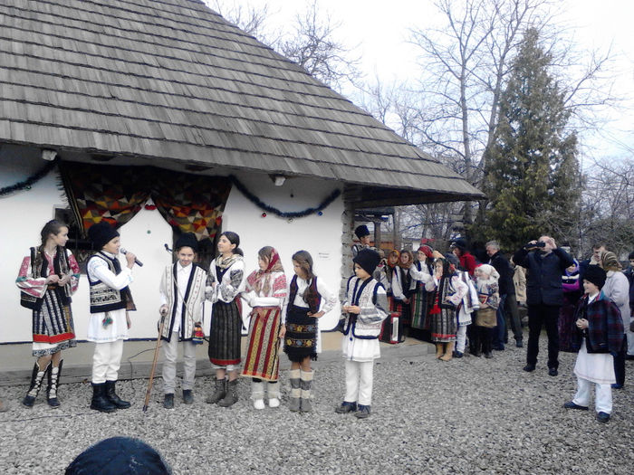 IMG_20131213_115033 - zileleCreanga