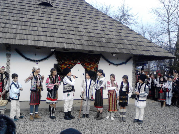 IMG_20131213_115106 - zileleCreanga