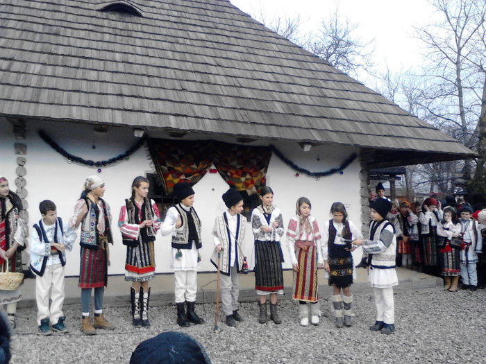 IMG_20131213_115147 - zileleCreanga