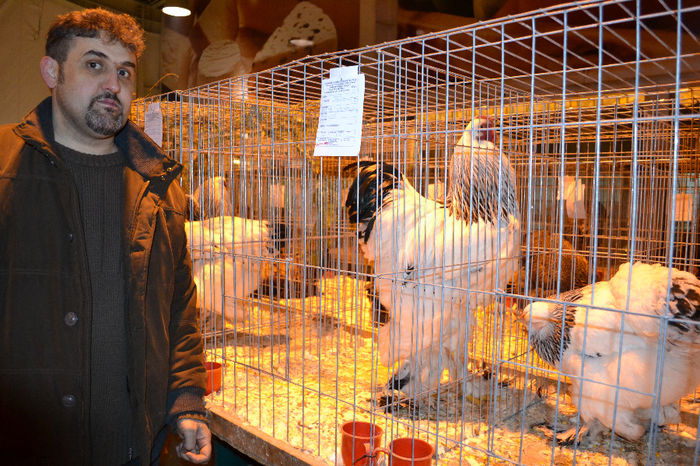 DSC_0738 - E xpozitia nationala Bucuresti 2013