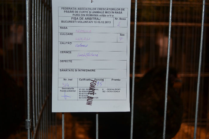 DSC_0725 - E xpozitia nationala Bucuresti 2013