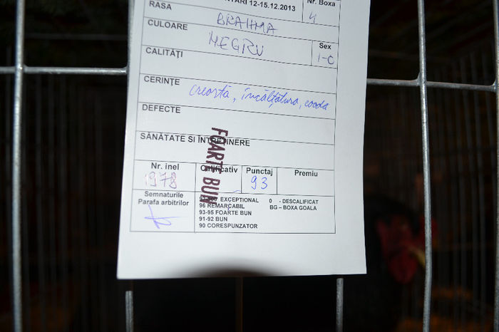 DSC_0730 - E xpozitia nationala Bucuresti 2013