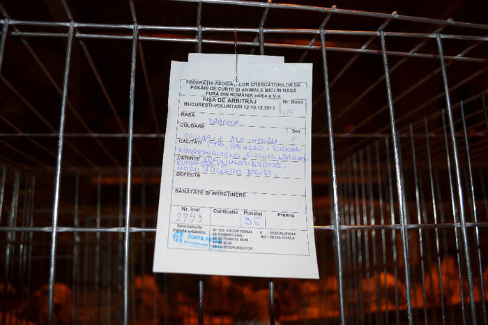 DSC_0758 - E xpozitia nationala Bucuresti 2013