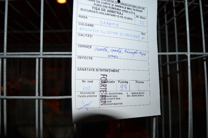 DSC_0769 - E xpozitia nationala Bucuresti 2013