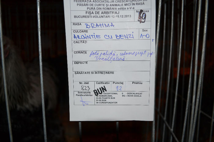 DSC_0777 - E xpozitia nationala Bucuresti 2013