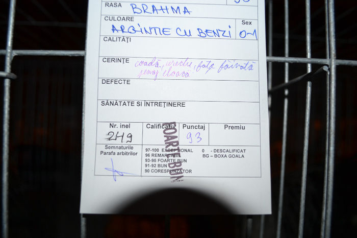 DSC_0779 - E xpozitia nationala Bucuresti 2013