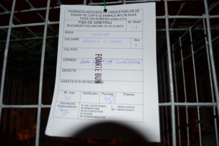 DSC_0785 - E xpozitia nationala Bucuresti 2013