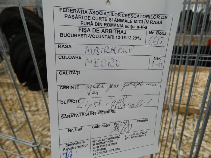 DSC00524 - Expo Nationala Bucuresti 2013
