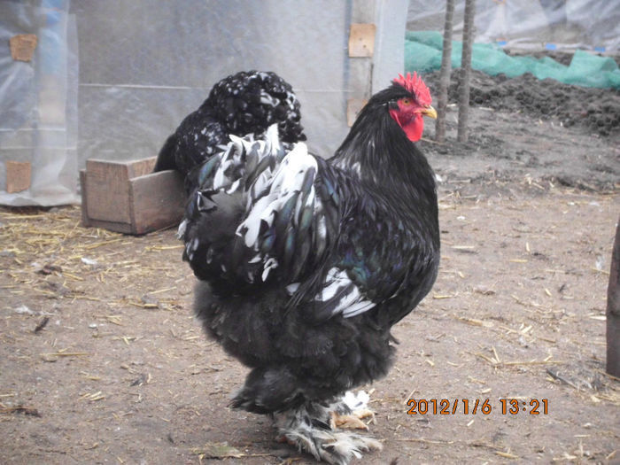 94155062_UOWHRQK