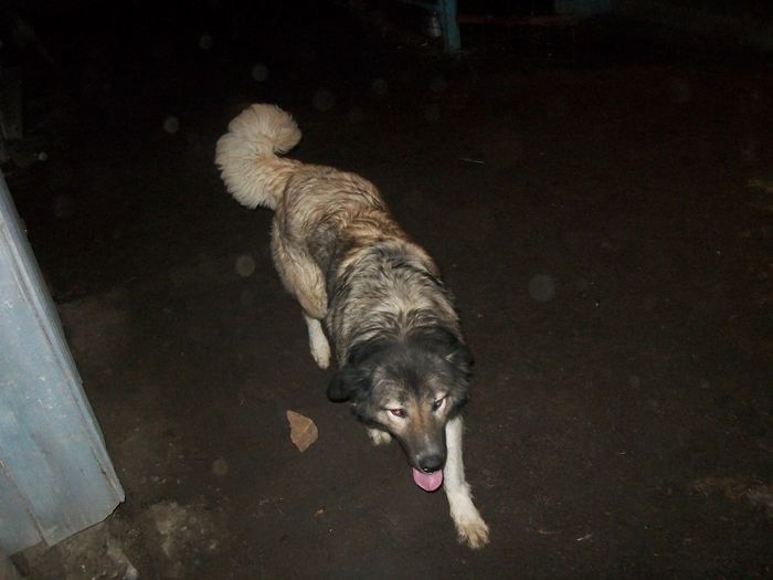 100_1566; haita 2 ani jumatate
