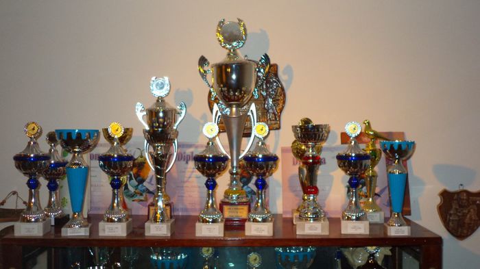 DSC00650 - REZULTATE 2013