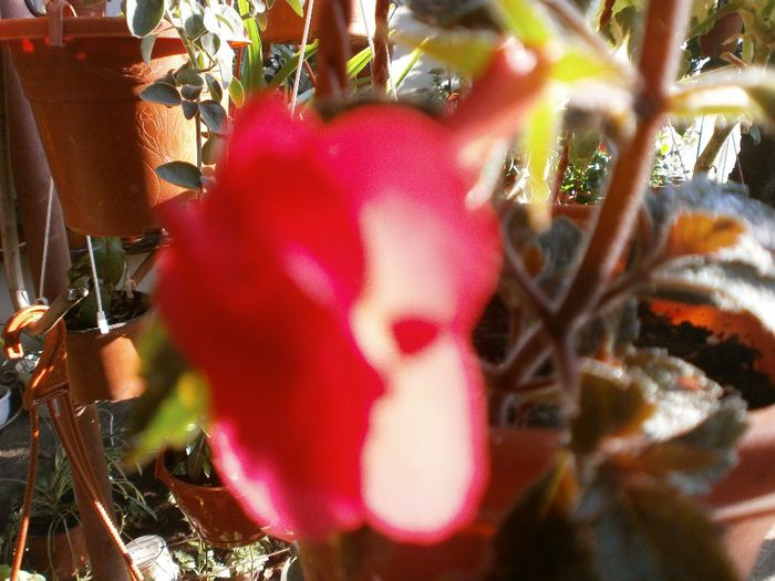 P7250095