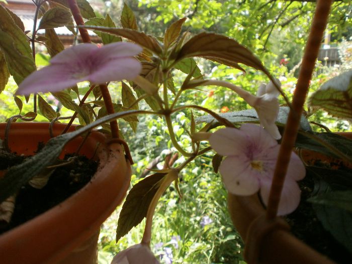 P7260108