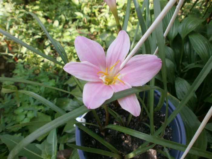 P7260118