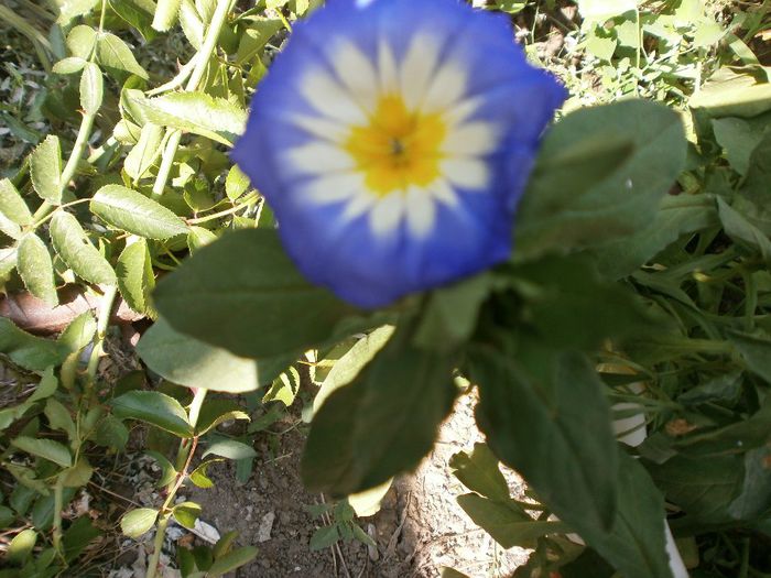 P7260123