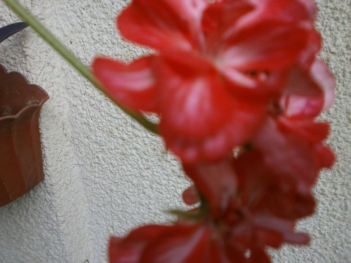 P7260130