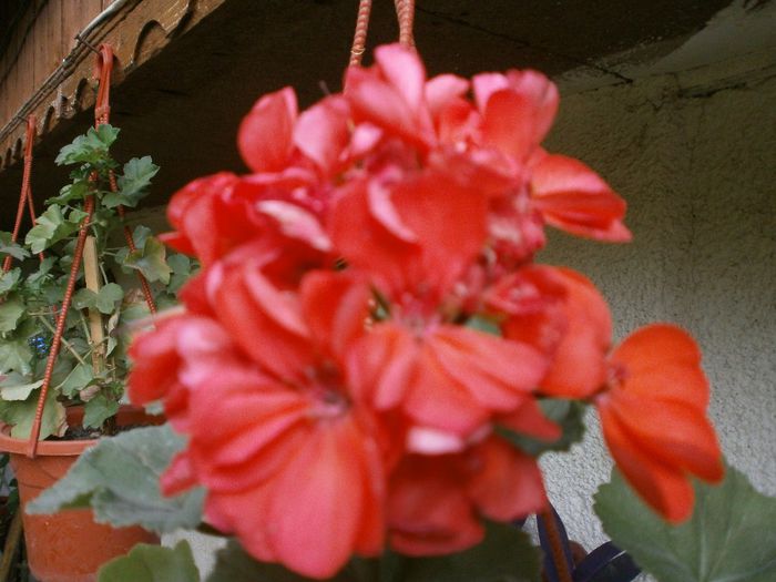 P7260132
