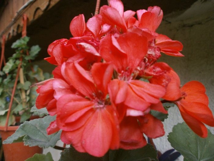 P7260133