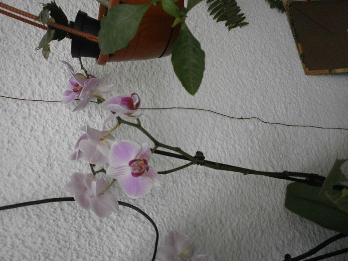 P7260145
