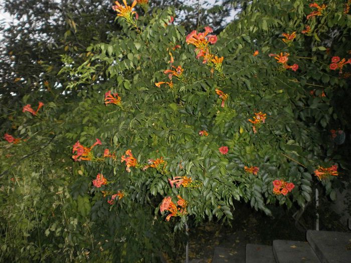 P8040167