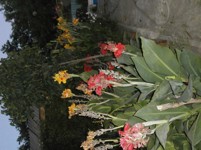 P8040169
