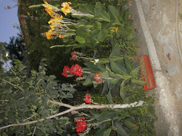 P8040175