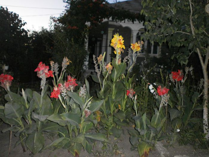 P8040176