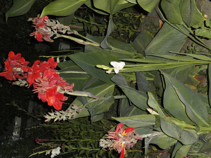 P8040181