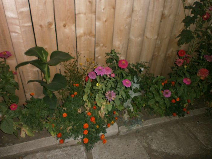 P8040183
