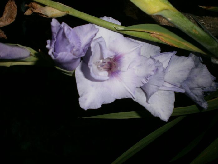 P8040191