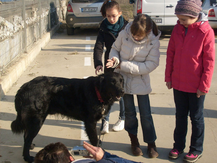 ... - Prezentare Ciobanesti Corbi