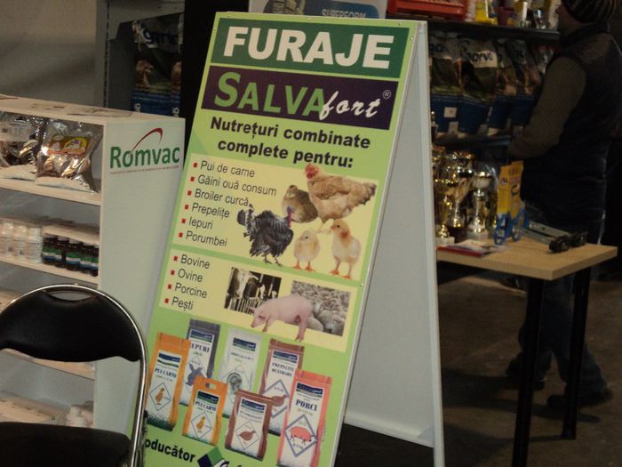 DSC02904 - 7 - d  EXPO NATIONALA BUCURESTI 13-15 DECEMBRIE 2013