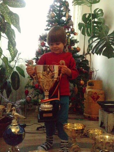 PATRIC 2013 DECEMBRIE